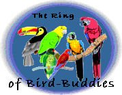 Ring of Bird-Buddies