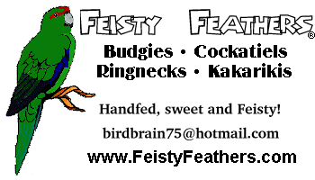 Feisty Feathers