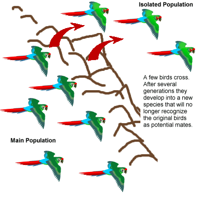 Species can arrise when populations become divided
