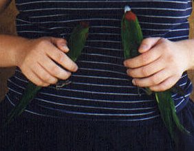 Female (left) and Male (right).