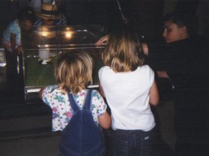 Kids watch the Japanese quail eggs hatch.