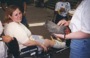 Visitors are allowed to pet the chickens.